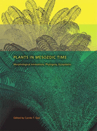 Plants in Mesozoic Time: Morphological Innovations, Phylogeny, Ecosystems