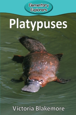 Platypuses - Blakemore, Victoria