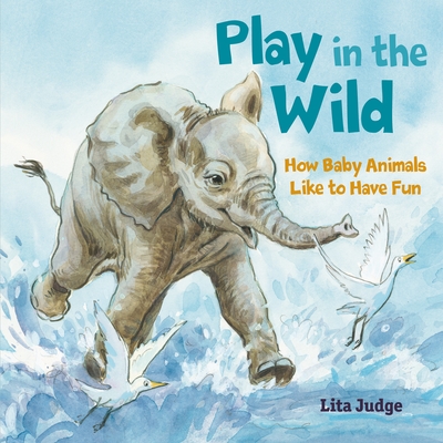 Play in the Wild: How Baby Animals Like to Have Fun - Judge, Lita