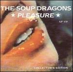 Pleasure [CD Single]