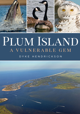 Plum Island: A Vulnerable Gem - Hendrickson, Dyke