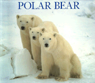 Polar Bear - Matthews, Downs (Text by), and Guravich, Dan (Photographer)