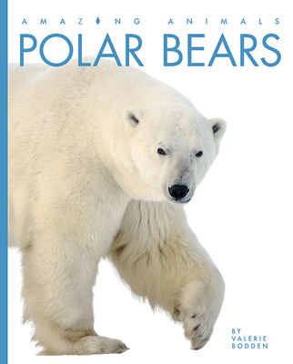 Polar Bears - Bodden, Valerie