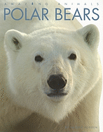 Polar Bears