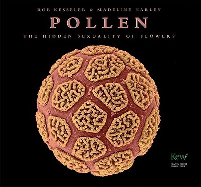 Pollen: The Hidden Sexuality of Flowers - Kesseler, Rob, and Harley, Madeline