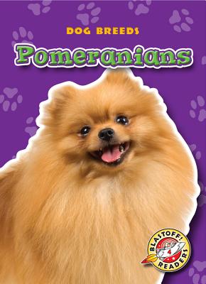 Pomeranians - Green, Sara