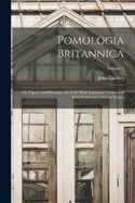 Pomologia Britannica: Or, Figures and Descriptions of the Most Important Varieties of Fruit Cultivated in Great Britain; Volume 2