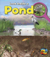 Pond: Look Inside