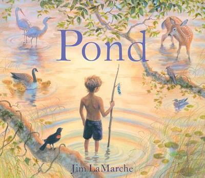 Pond - 