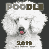 Poodle 2019 Mini Wall Calendar