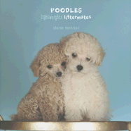 Poodles: Lightweights Littermates