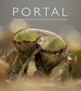 Portal: Otherworldly Wonders of Ireland's Bogs, Wetlands & Eskers
