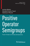 Positive Operator Semigroups: From Finite to Infinite Dimensions