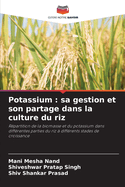 Potassium: sa gestion et son partage dans la culture du riz