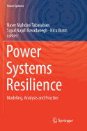Power Systems Resilience: Modeling, Analysis and Practice
