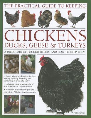 Practical Guide to Keeping Chickens, Duck, Geese & Turkeys - Hams, Fred