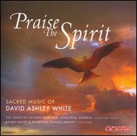Praise the Spirit: Sacred Music of David Ashley White - Alan Austin (violin); Ann Frohbieter (organ); Brady Knapp (baritone); Brian Vogel (percussion);...