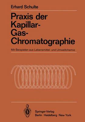 Praxis Der Kapillar-Gas-Chromatographie: Mit Beispielen Aus Lebensmittel- Und Umweltchemie - Schulte, Erhard