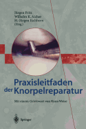 Praxisleitfaden Der Knorpelreparatur