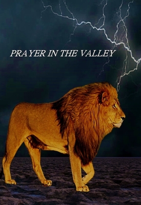 Prayer In The Valley - Goins, Robert