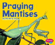 Praying Mantises