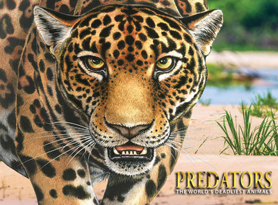 Predators: The World's Deadliest Animals - Hammond, Paula