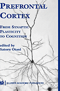 Prefrontal Cortex: From Synaptic Plasticity to Cognition