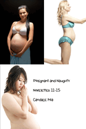 Pregnant and Naughty: Novelettes 11-15