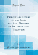 Preliminary Report on the Lead and Zinc Deposits of Southwestern Wisconsin (Classic Reprint)