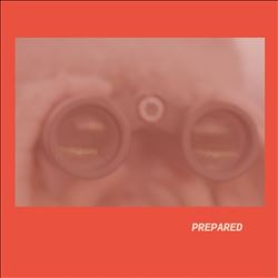 Prepared - Rose Pink Vinyl