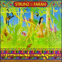 Primal Magic - Strunz & Farah