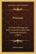 Princesse: Un Grand Mariage Les Trois Coups De Foudre Mon Camarade Mussard (1887)