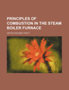 Principles of combustion in the steam boiler furnace