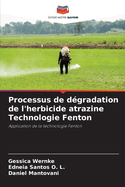 Processus de d?gradation de l'herbicide atrazine Technologie Fenton