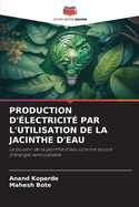 Production d'lectricit Par l'Utilisation de la Jacinthe d'Eau