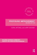 Profound Improvement: Building Capacity for a Learning Community