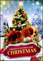 Project: Puppies for Christmas - Dan Hewitt Owens