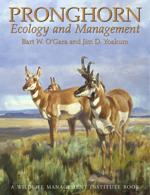 Pronghorn: Ecology & Mangemt: Ecology and Management - O'Gara, Bart W, and Yoakum, James D, and McCabe, Richard E (Editor)