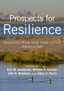 Prospects for Resilience: Insights from New York City's Jamaica Bay