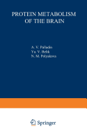 Protein Metabolism of the Brain