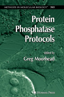 Protein Phosphatase Protocols - Moorhead, Greg, PhD (Editor)