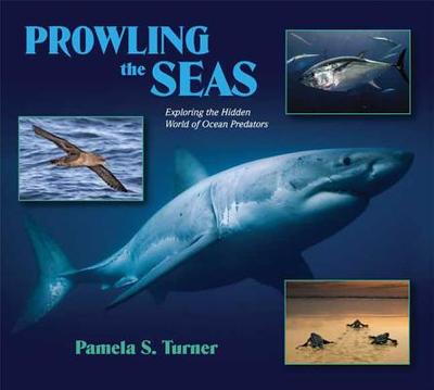 Prowling the Seas: Exploring the Hidden World of Ocean Predators - Turner, Pamela S