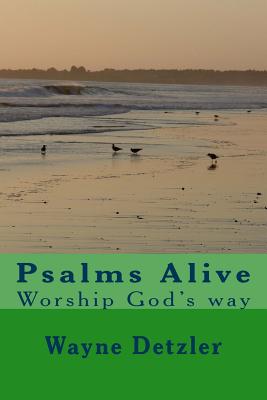 Psalms--A Devotional Commentary: Comfort for painful times - Detzler, Wayne