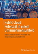 Public Cloud Potenzial in einem Unternehmensumfeld: Public Cloud als neue IT-Plattform zur Steigerung des Geschftswerts