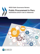 Public Procurement in Peru: Reinforcing Capacity and Co-Ordination