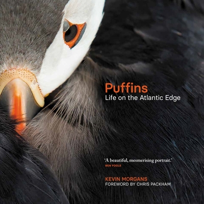 Puffins: Life on the Atlantic Edge - Morgans, Kevin, and Packham, Chris (Foreword by)