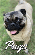 Pugs Photo Book for Writing and Note Taking: Writing Pad with Pug Pictures, Dog Lover Gifts