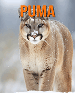 Puma: Des Informations et des Images Amusantes et Intressantes concernant les Puma