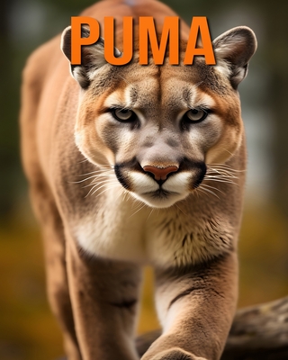 Puma: Lustige und faszinierende Fakten und Bilder ber Puma - Hawthorn, Raine