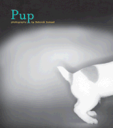 Pup